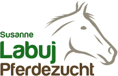 Pferdezucht Labuj